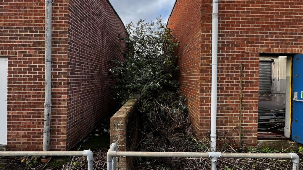 What Happens If You Ignore Party Wall Etiquette Colchester